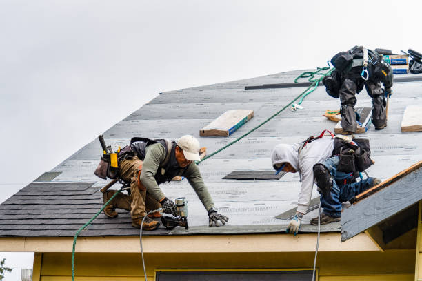 Professional Flat Roof Repair technician working in Ames, IA